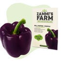 Sementes de Paprika Purple Bell (Capsicum annuum)
