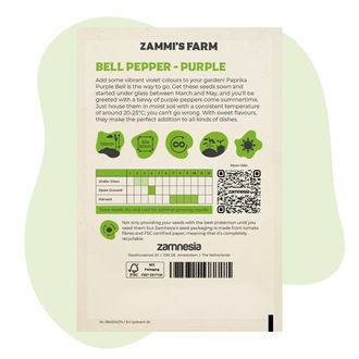 Sementes de Paprika Purple Bell (Capsicum annuum)