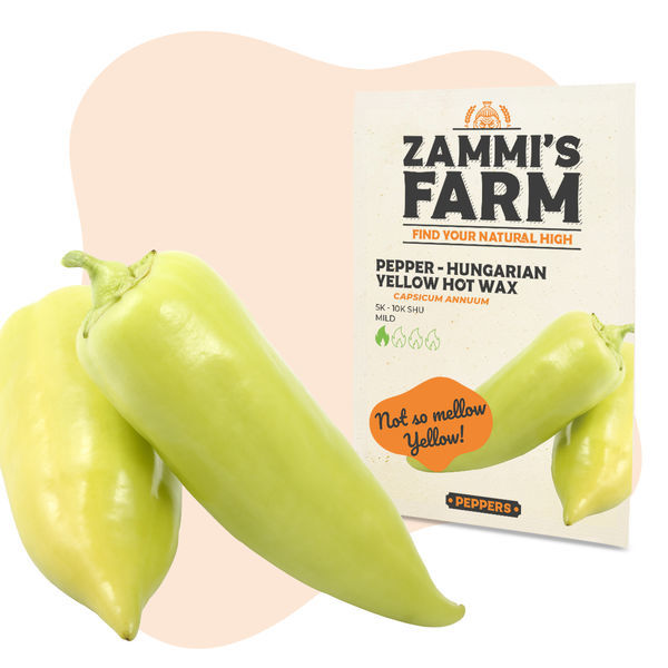 Pimenta Hungarian Yellow Hot Wax (Capsicum annuum) – Sementes
