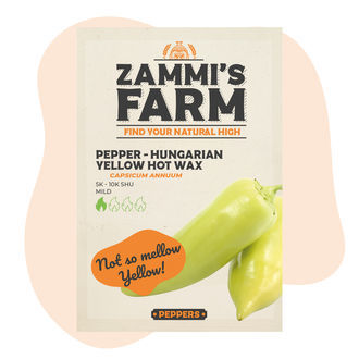 Pimenta Hungarian Yellow Hot Wax (Capsicum annuum) – Sementes