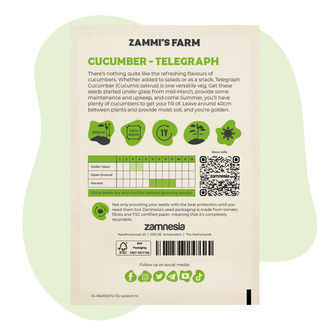 Sementes de Pepino Telegraph (Cucumis sativus)