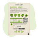 Cucumber Bella F1 (Cucumis sativus) sementes