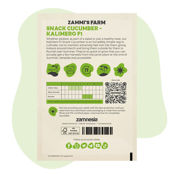Sementes de pepino Kalimero F1 Snack (Cucumis sativus)