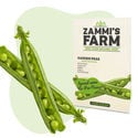 Sementes de ervilha-de-cheiro (Pisum sativum)