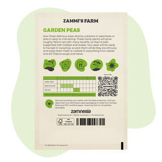 Sementes de ervilha-de-cheiro (Pisum sativum)