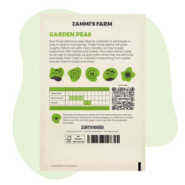 Sementes de ervilha-de-cheiro (Pisum sativum)