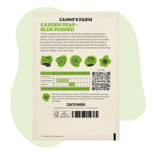 Sementes de ervilha-de-vagem-azul (Pisum sativum)