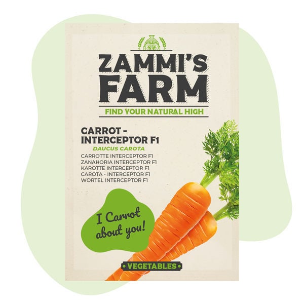 Cenoura – Interceptor F1 (Daucus carota) Sementes