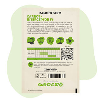 Cenoura – Interceptor F1 (Daucus carota) Sementes