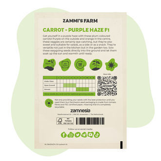 Sementes de Cenoura Purple Haze F1 (Daucus carota L.)
