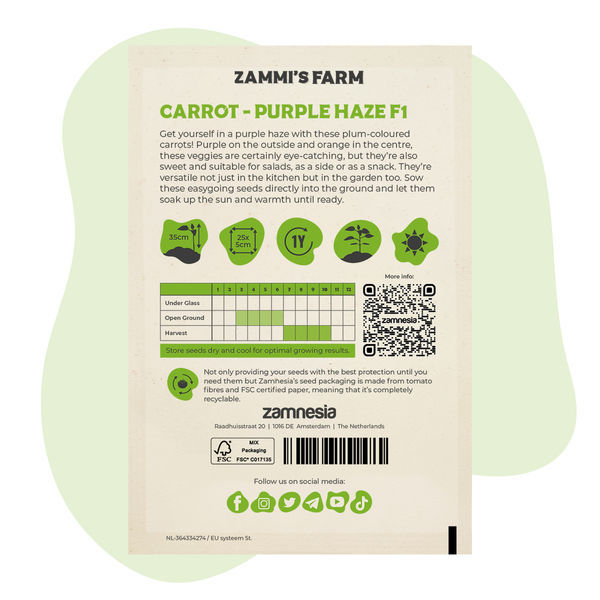 Sementes de Cenoura Purple Haze F1 (Daucus carota L.)