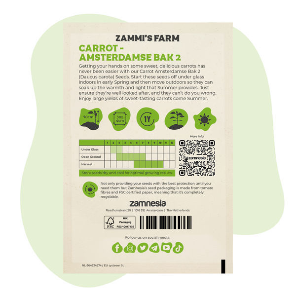 Sementes de cenoura Amsterdamse Bak 2 (Daucus carota)