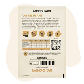 Sementes de Cafeeiro (Coffea arabica nana)