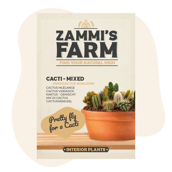 Sementes de cacto (Ferocactus wislizeni)