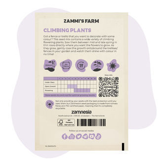 Mistura de sementes de flores trepadeiras