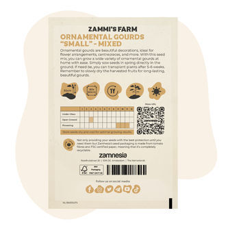 Mistura de sementes de pequenas cabaças ornamentais