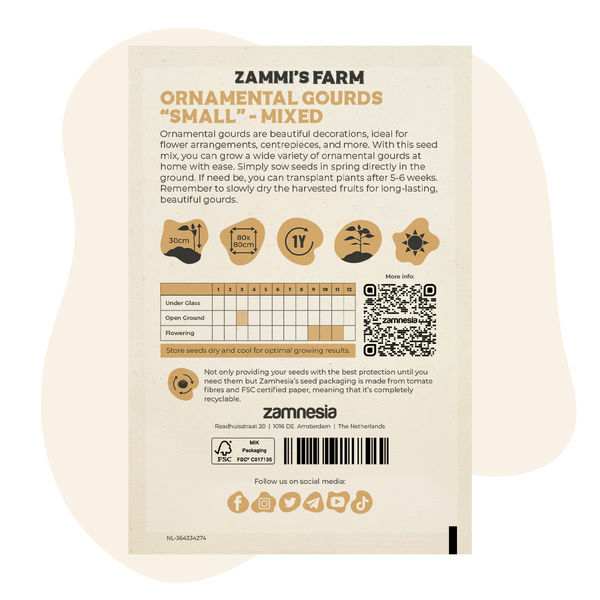 Mistura de sementes de pequenas cabaças ornamentais