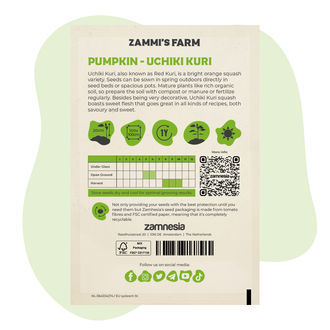 Sementes de abóbora Uchiki Kuri (Cucurbita maxima)