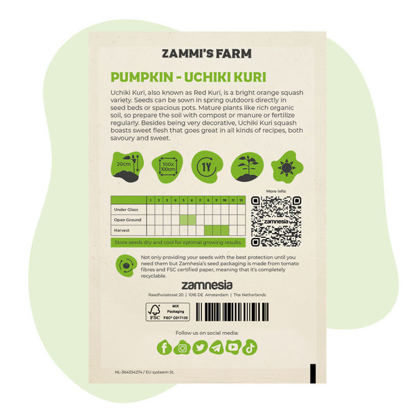 Sementes de abóbora Uchiki Kuri (Cucurbita maxima)