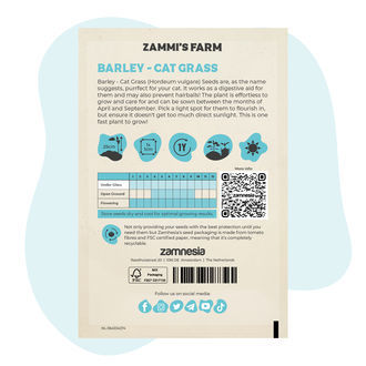 Sementes de cevada – Erva para gatos (Hordeum vulgare)