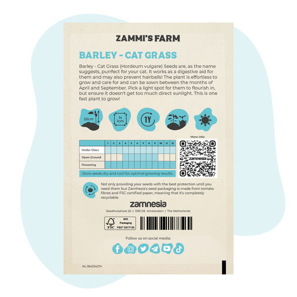 Sementes de cevada – Erva para gatos (Hordeum vulgare)