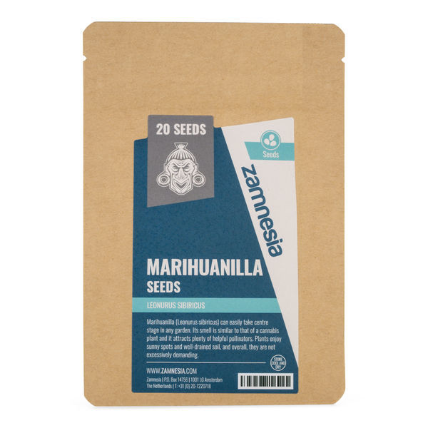 Sementes de Marihuanilla (Leonurus sibiricus)