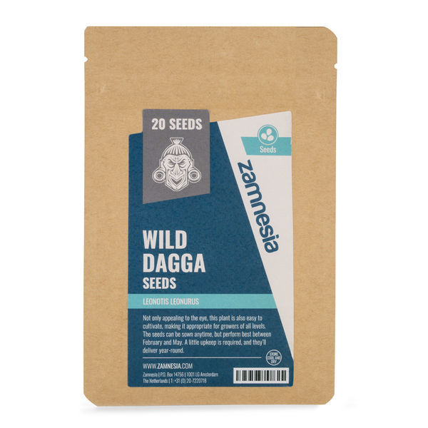 Sementes de Wild Dagga (Leonotis leonurus)