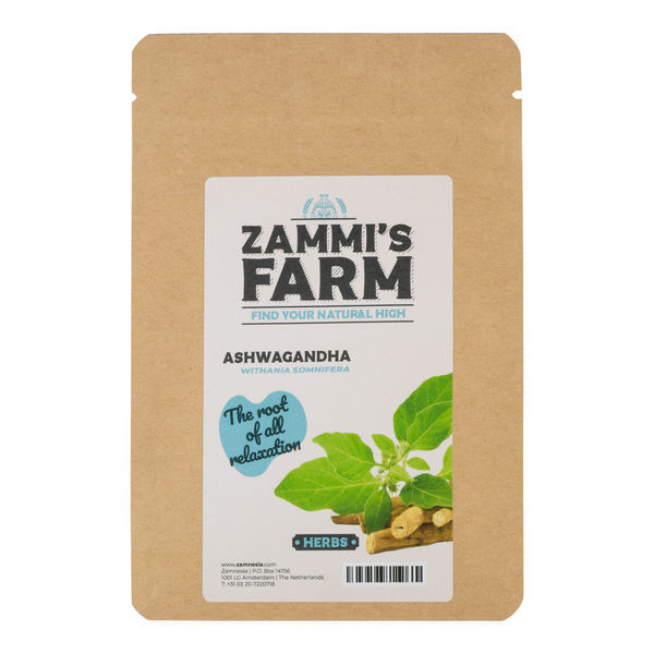 Ashwagandha (Withania somnifera) 20 sementes