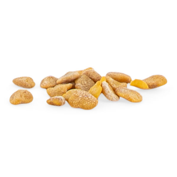 Ashwagandha (Withania somnifera) 20 sementes