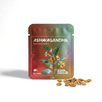 Ashwagandha (Withania somnifera) 20 sementes