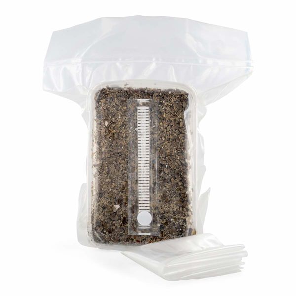 Kit de substrato esterilizado