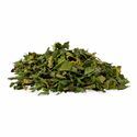 Folhas de urtiga (Urtica dioica) biológicas