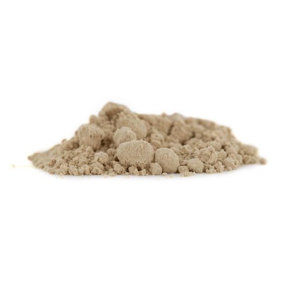 Cálamo – Acorus calamus