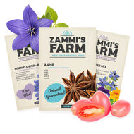 Sementes comestíveis de plantas