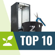 Top 10 Growshops