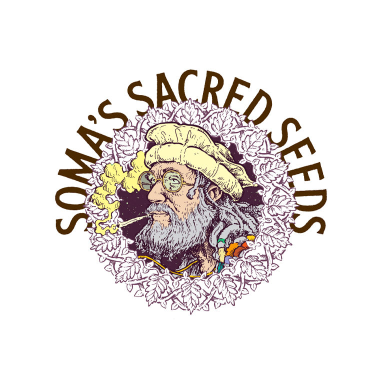 Soma Seeds