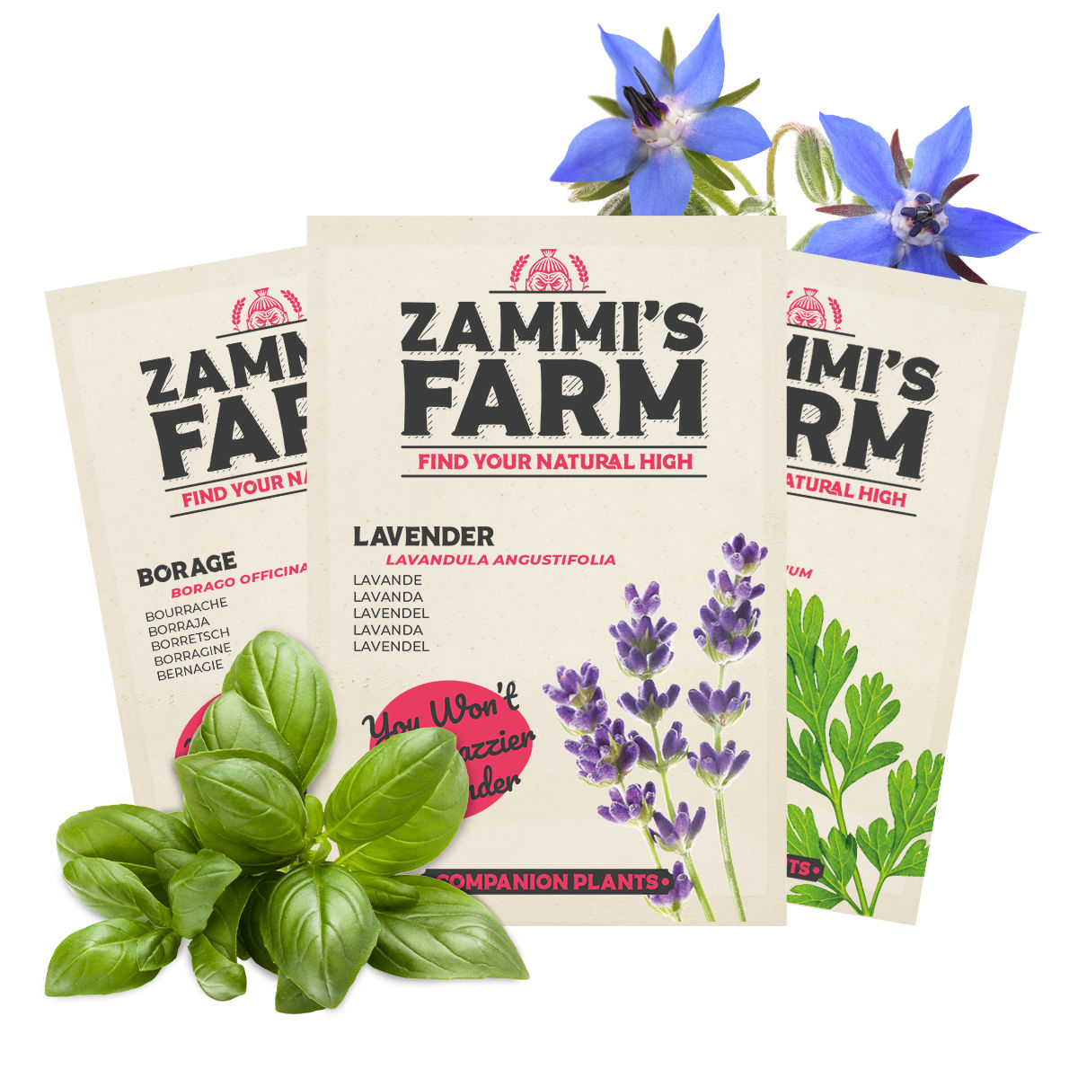 Plantas companheiras