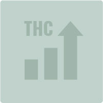 Variedades com elevado teor de THC