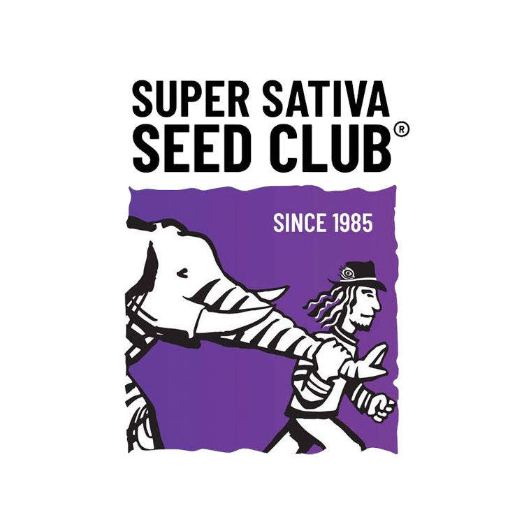 Super Sativa Seed Club