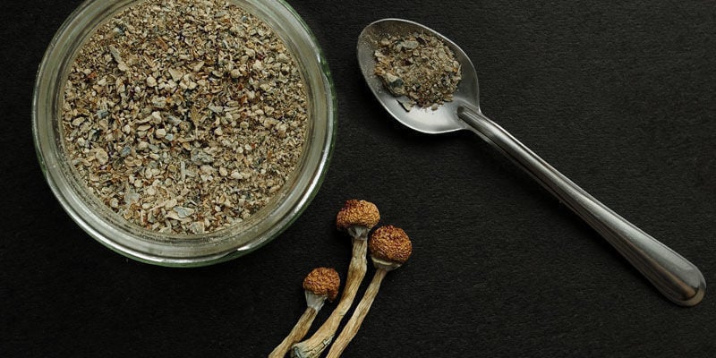Psilocybe Cubensis Usage