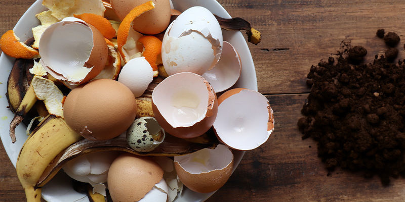 Composto – O Melhor Fertilizante Caseiro