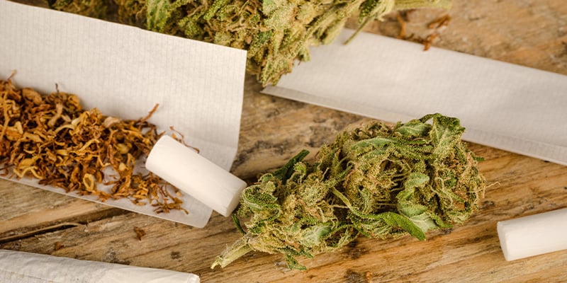 O tabaco aumenta os efeitos da canábis