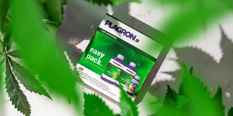 Cultivar de forma biológica: Mais fácil do que nunca