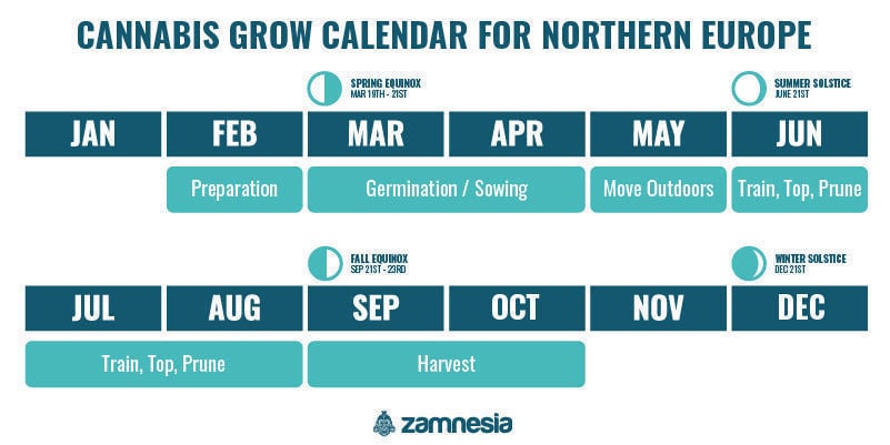 Calendário de cultivo de canábis para o norte da Europa