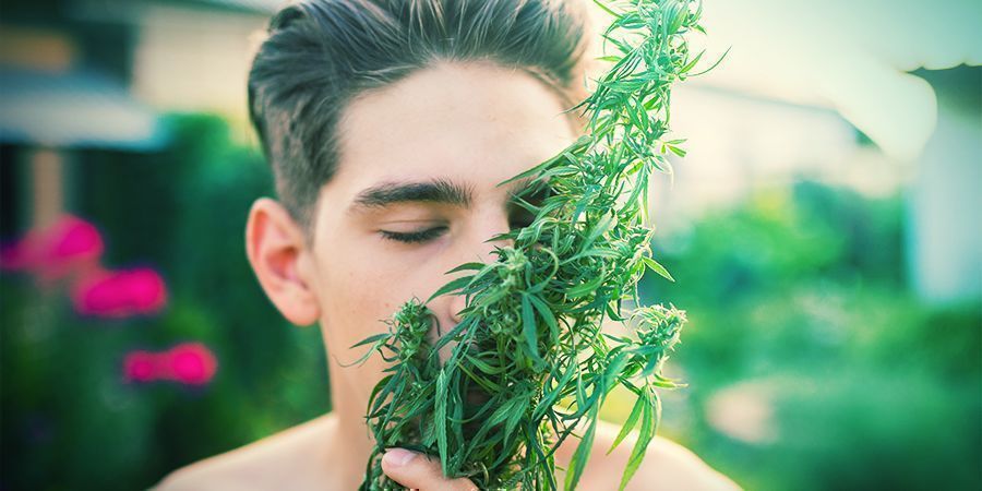 Outros Itens que Pode Precisar para o Cultivo Interior