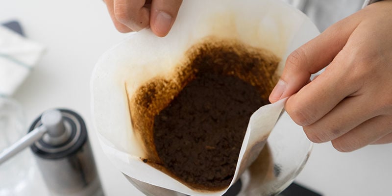 Quais os borras de café mais indicados para canábis?