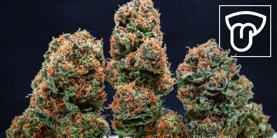 Cannabis cultivada em interior vs exterior: Sabor