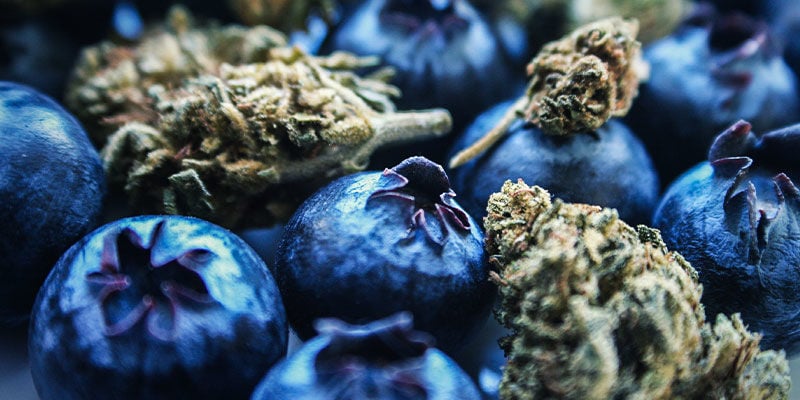 Blueberry: Sabor & Efeitos