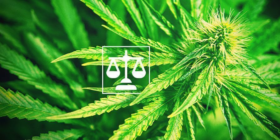 Legislação sobre canábis