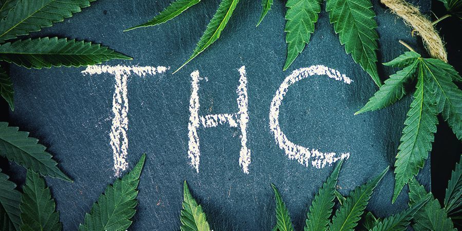 Qual a diferença entre cânhamo e cannabis?